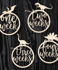 Baby Milestones