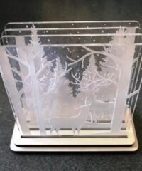 Christmas night light