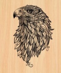 head eagle