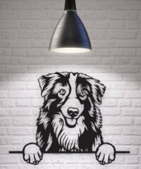 Australian Shepherd dog