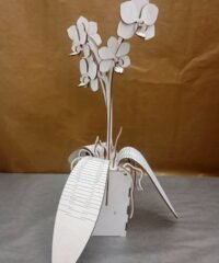 Wood orchid