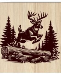 Deer Deer