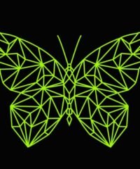 Illusion led lamp Butterfly