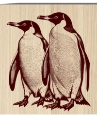 Penguins