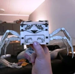 Spider Chest Spider Chest