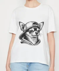 Chihuahua dog