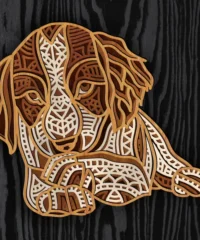 Layered spaniel dog