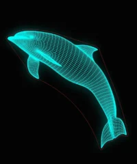 3D illusion led lamp dolphin