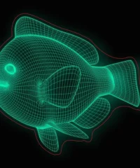 3D illusion led lamp fish