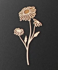 Chrysanthemum flower