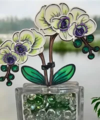 Orchid
