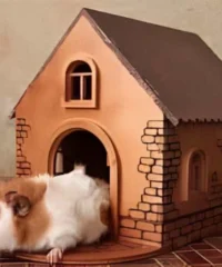 Wooden rodent house