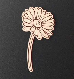 Chrysanthemum Flower