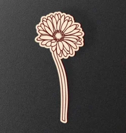 Gerbera Flower