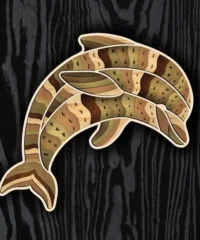 Layered dolphin