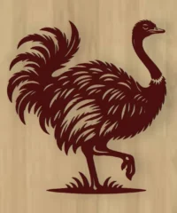 Ostrich