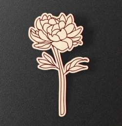 Peony Flower