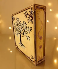 Shadow box