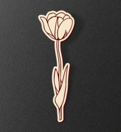 Tulip Flower