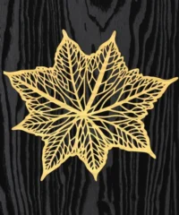 Leaf