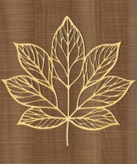 Leaf