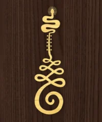 Snake Unalome