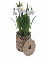 Flower Pot