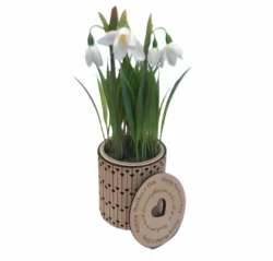 Flower Pot