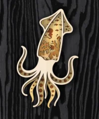 Multilayer Squid Multilayer Squid