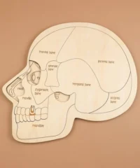 Head puzzle
