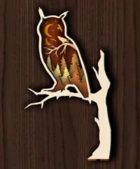 Multilayer Owl