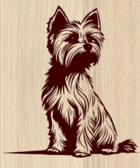 Yorkshire Dog