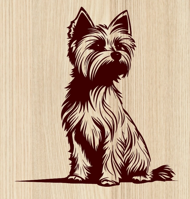 Yorkshire Dog