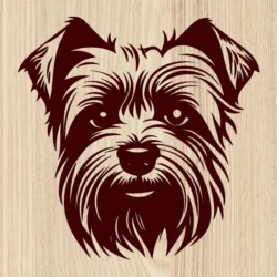Yorkshire Dog Yorkshire Dog