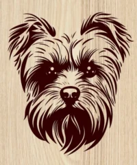 Yorkshire Dog Yorkshire Dog