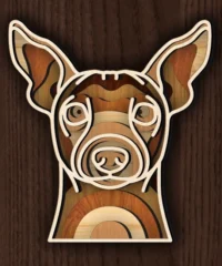 Multilayer American Hairless Terrier Face