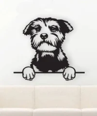 Yorkie Dog