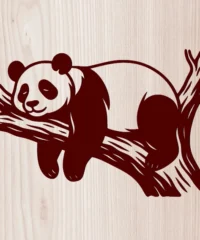 Bear On A Tree Branch