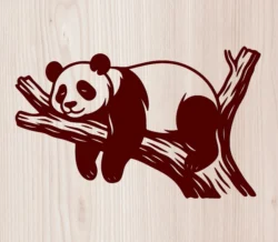 Bear On A Tree Branch