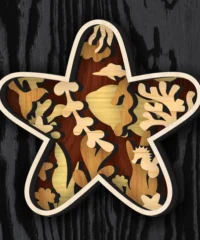 Layered Starfish