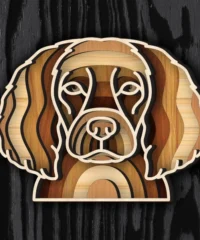 Multilayer Boykin Spaniel
