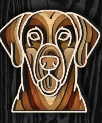 Multilayer Chesapeake Bay Retriever
