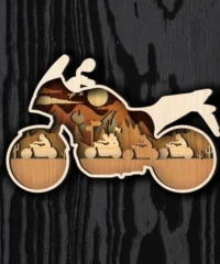 Multilayer Motorcycle