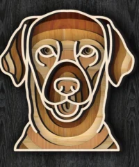 Multilayer Pooch