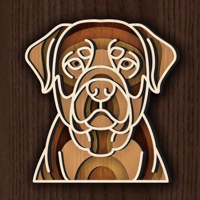 Multilayer Rottweiler