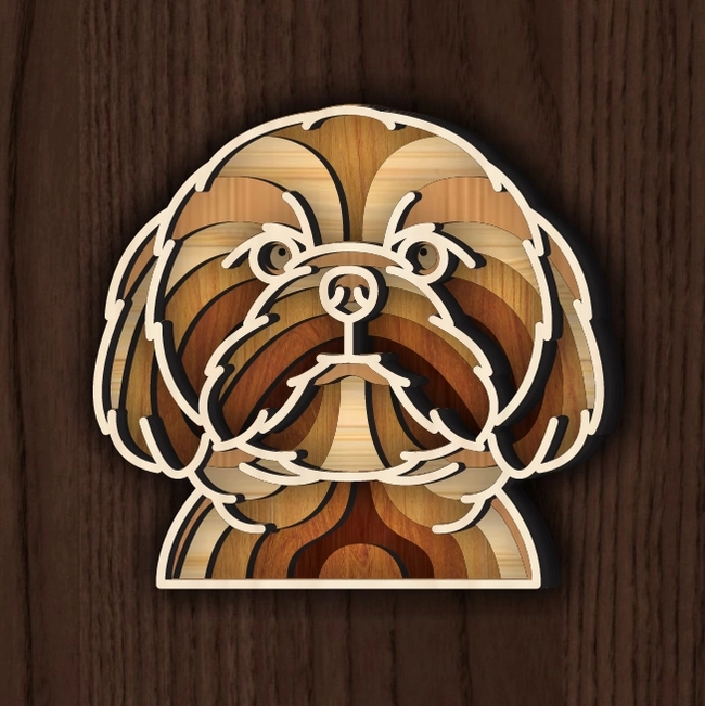 Multilayer Shih Tzu Dog