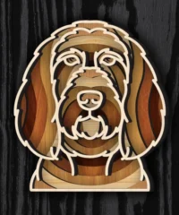 Multilayer Spinone Italiano