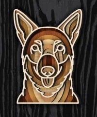Multilayer Swedish Vallhund