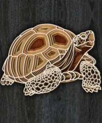 Multilayer Turtle