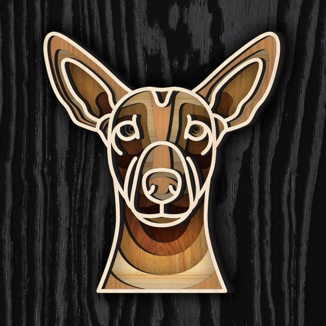 Multilayer Xoloitzcuintli